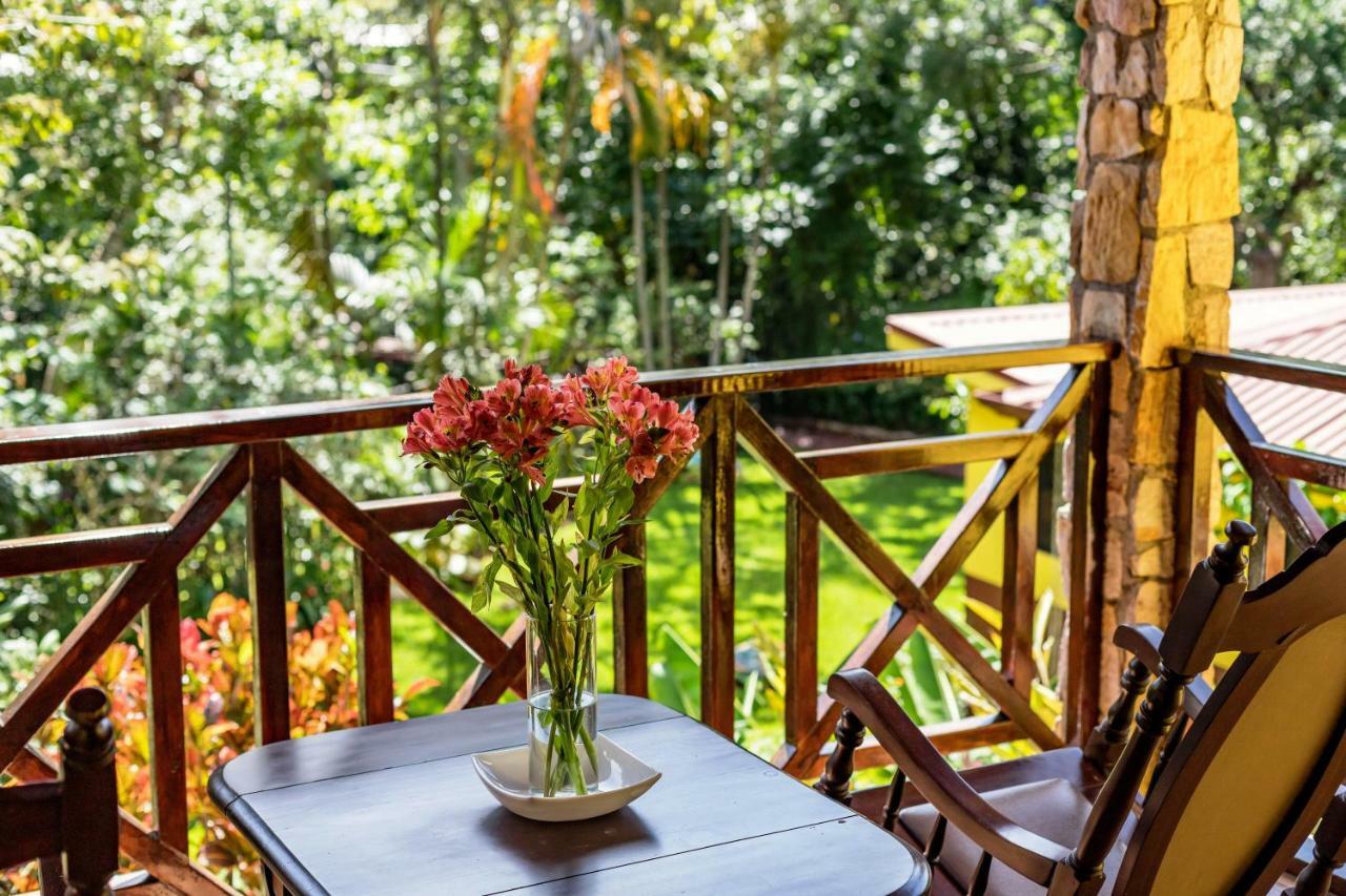 La Terraza Guest House B&B Grecia Exterior photo